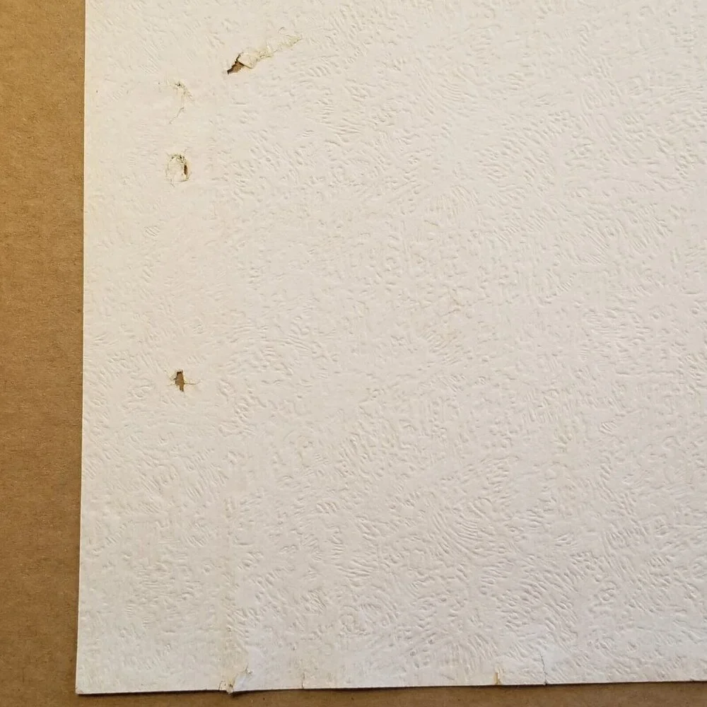 Vintage Wallpaper Sample Sheet Neutral Color Textured Craft Supply Dollhouse
